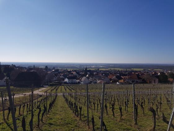 KV Aschaffenburg Land